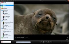 Miro, Fantástico Reprodutor Universal de Vídeo(Quicktime,WMV,MPGE,AVI,XVID)Freeware