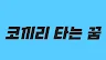 코끼리 타는 꿈, 당신에게 찾아온 거대한 행운의 신호일까?