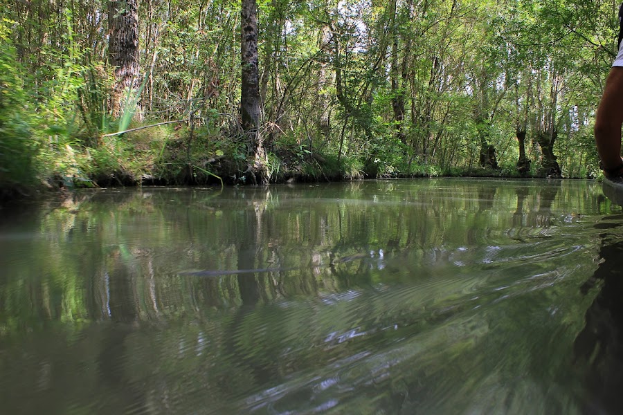 Marais poitevin