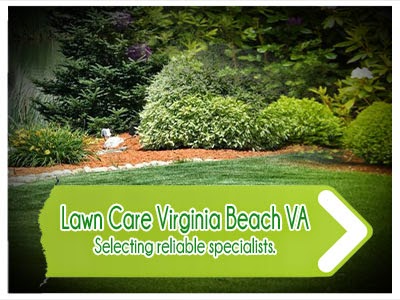 lawn care experts in VA