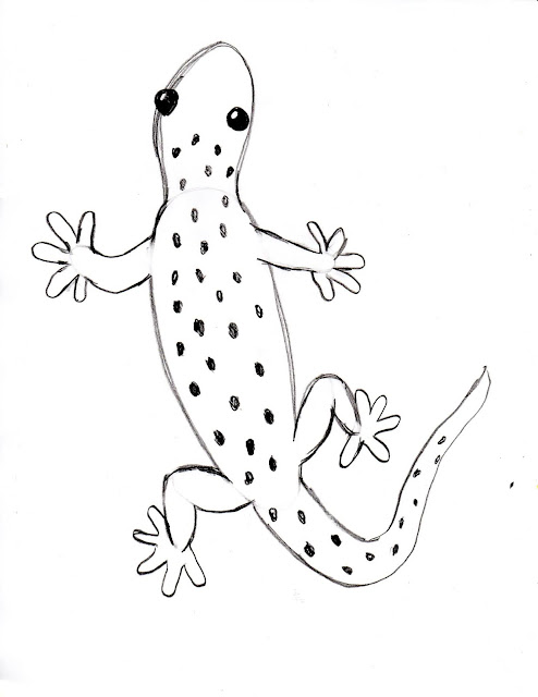 Best little lizard coloring pages | New free printable photos