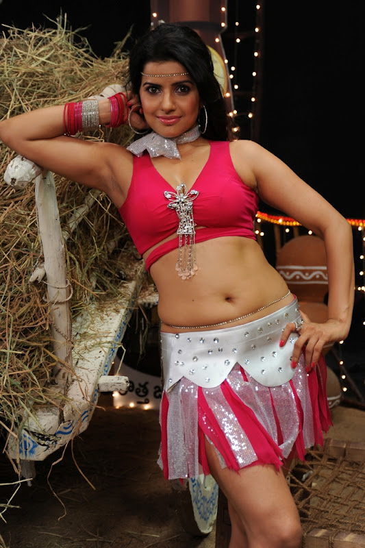 Spicy Stills Madhu SharmaMadhu Sharma Hot Stills wallpapers