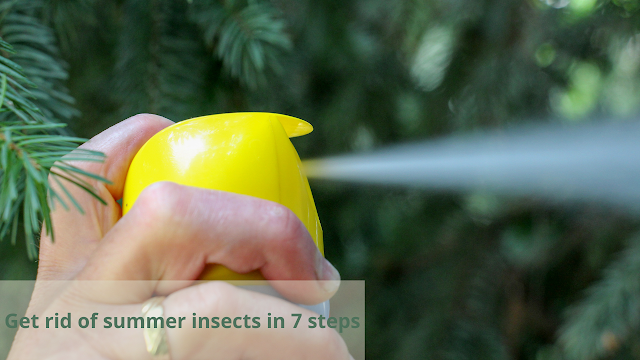 Get rid of summer insects in 7 steps