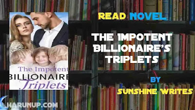 The Impotent Billionaire's Triplets Novel