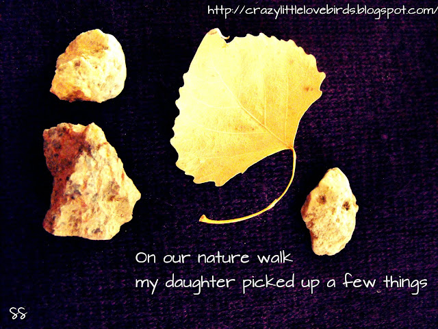 Three rocks and a leaf from a nature walk