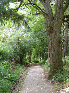 Fallen Timbers trail