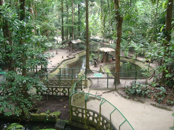  Bosque Rodrigues Alves - Belém do Parà, fonte: Alcemir Aires