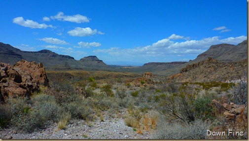 Big Bend Ranch State park_043