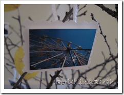 Farris Wheel