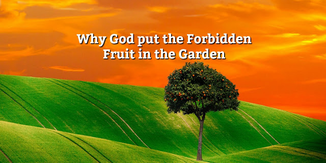 Have you ever wondered why God put the Forbidden Fruit Tree in the Garden of Eden? This 1-minute devotion addresses that question.