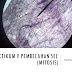 LAPORAN PRAKTIKUM V PEMBELAHAN SEL (MITOSIS)