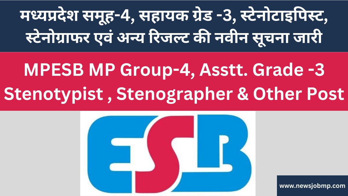 MPESB Group 4 , Grade 3 Stenographer And Other Result 2024