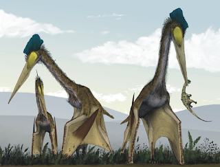 quetzalcoatlus