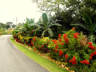 MPV LANDSKAP DAN NURSERI: FELDA NITAR 2 DIKUNJUNGI TETAMU 