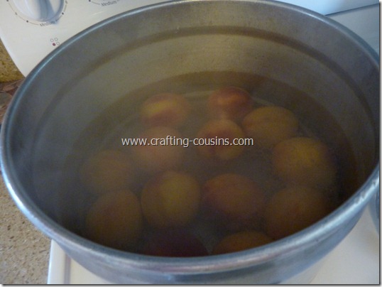 Home canned peaches by the Crafty Cousins (13)
