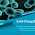Antifungal agents Drugs PDF | PPT