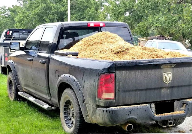 A black pickup truck full of wood shavings to compost
