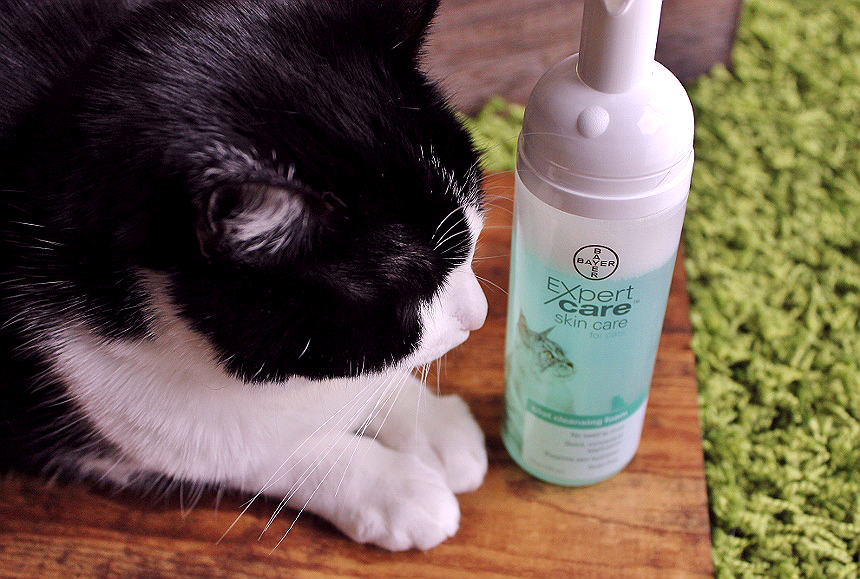 Your cat endures enough- Make bath time more amicable with Bayer® ExpertCare™ personal helath and grooming products at home. Find them at PetSmart. #BayerExpertCare AD