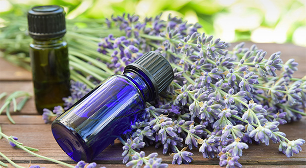 Aromatherapy and Essential Oils