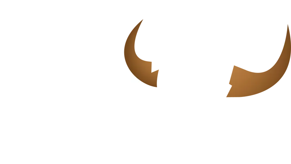 94.9 The Bull - Atlanta