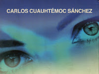 Frases De Carlos Cuauhtemoc Sanchez Los Ojos De Mi Princesa