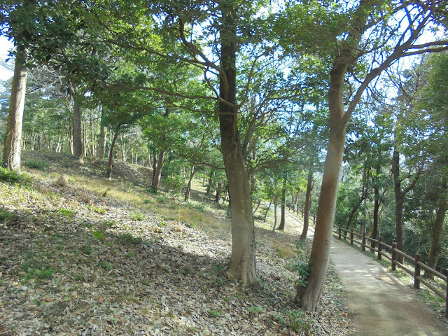 弥生の森の遊歩道