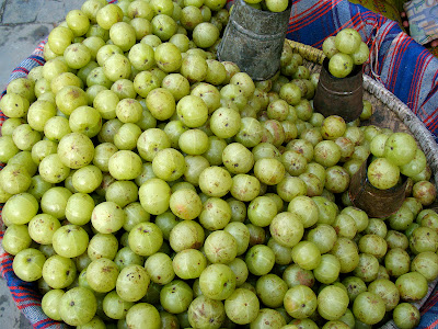 Lists of most common fruits of Nepal