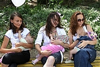 Фото Укринформ: мамы кормят малышей