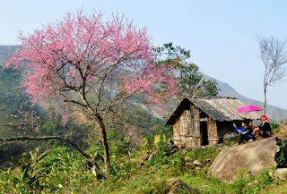 Sapa Weather and Climate 1
