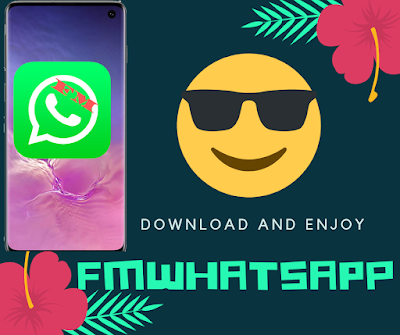 installing fmwhatsapp