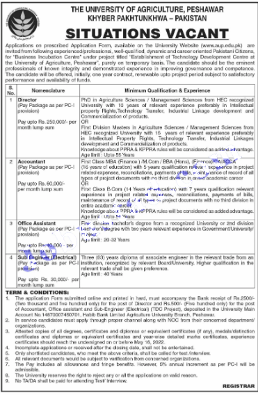 University of Agriculture Peshawar Jobs May 2022