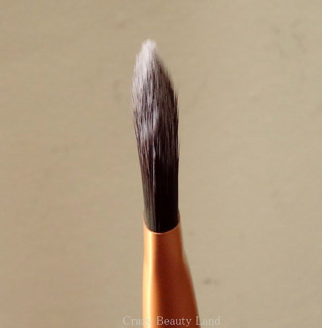 Makeup Tools Review : Real Techniques by Sam & Nic Chapman Core Collection Set - Pointed Foundation Brush Review