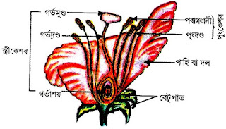 Scientific Tools Photos