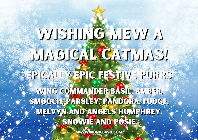 The B Team Catmas Card 2024 Back ©BionicBasil®