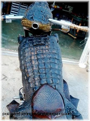 Crocodile Motorcycles