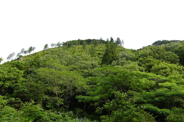 鳥取県西伯郡南部町八金 金華山登山口からの眺望