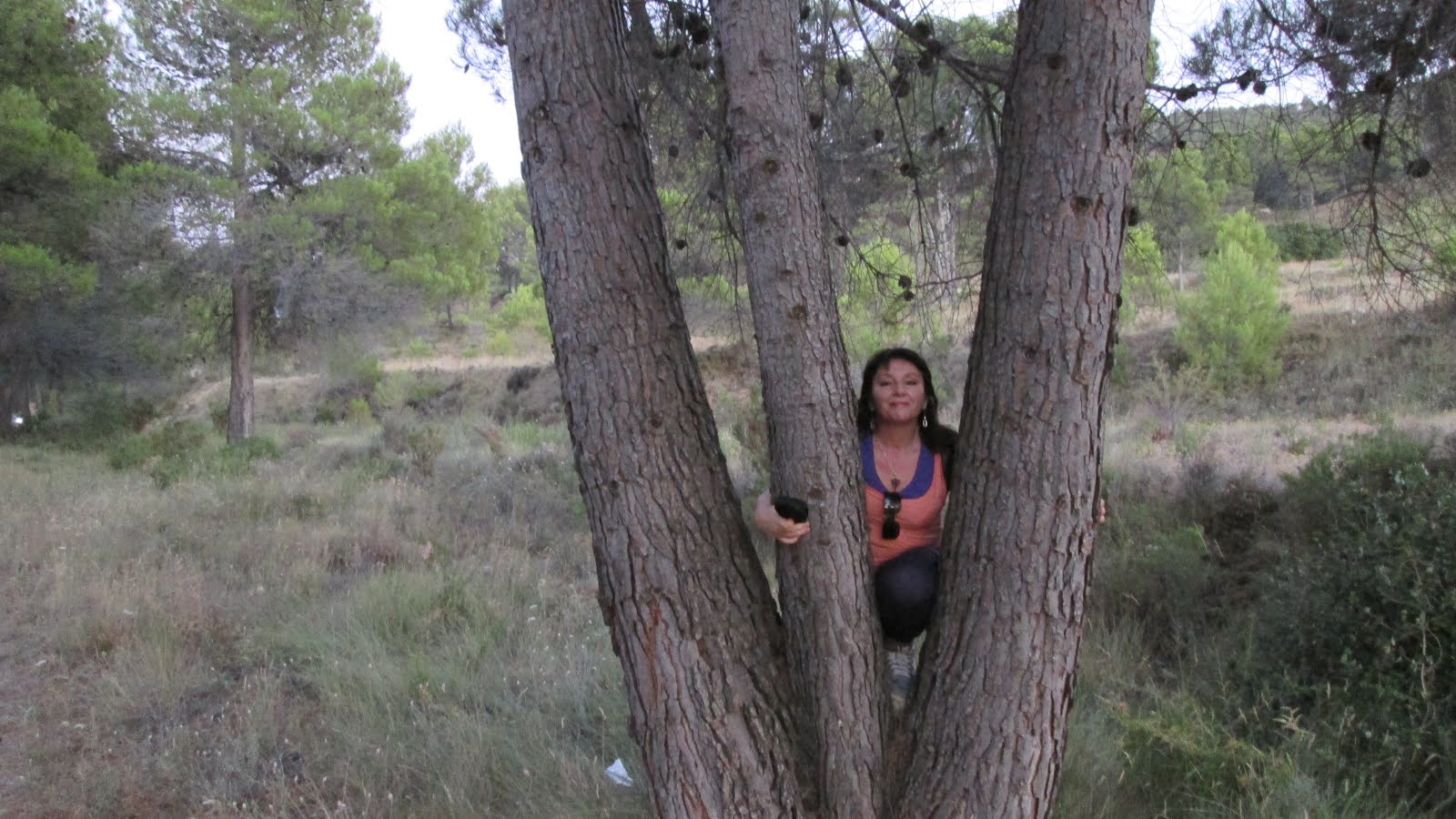 ELS ARBRES, ELS MEUS AMICS