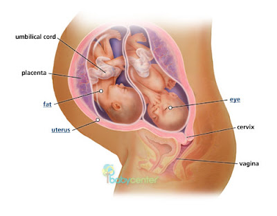 fraternal twins boy and girl. A oy and girl? How exciting!