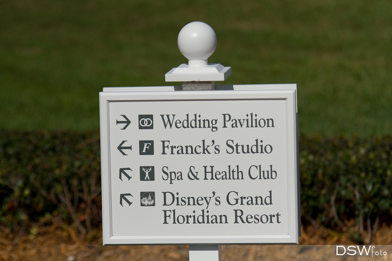 I know that many of you are familiar with quite a few of our Disney Wedding 