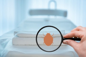 bed-bug-chemical-treatment