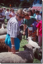 Marcia among the sheep at Walter Peak Farm across Lake Wakatipu from Queenstown.