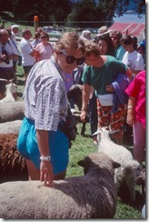 Marcia among the sheep at Walter Peak Farm across Lake Wakatipu from Queenstown.