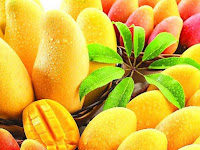 Situsmnc » Resep & Kesehatan
