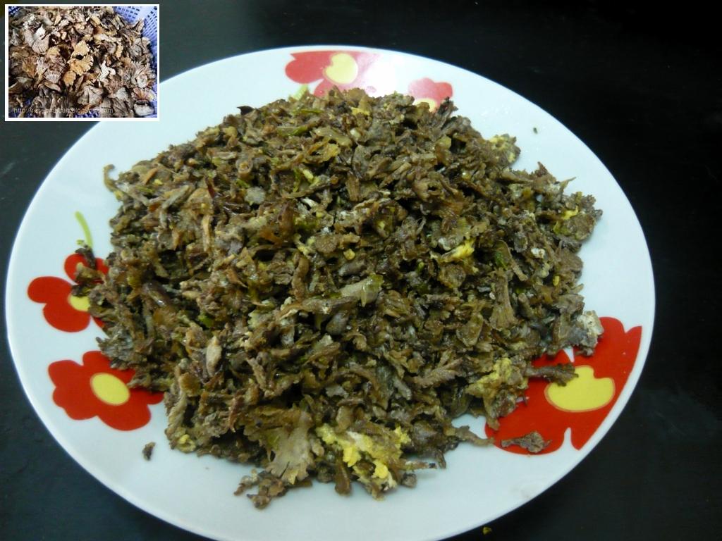 Cendwan kukur @ kulat sisir