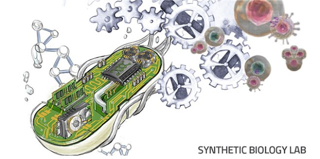 Ilustrasi Rekayasa Biologi Sintetik Untuk Menghasilkan Spesies Bakteri Baru