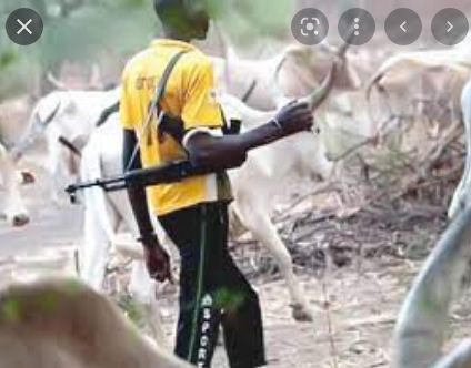 BREAKING NEWS: Fulani Herdsmen Kill Three people in Enugu Community