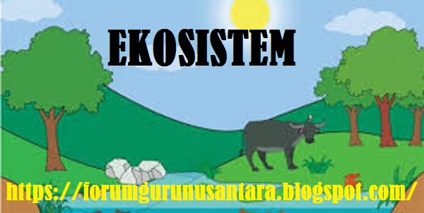 Komponen  Abiotik  dan Biotik Serta Satuan Dalam  Ekosistem Komponen  Abiotik  dan Biotik Serta Satuan Dalam  Ekosistem