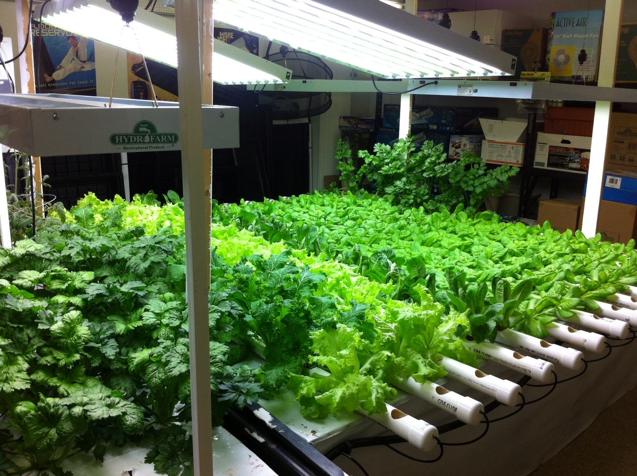 Aquaponics