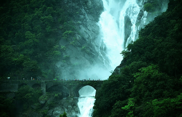 Dudhsagar Waterfall Trek monsoon images