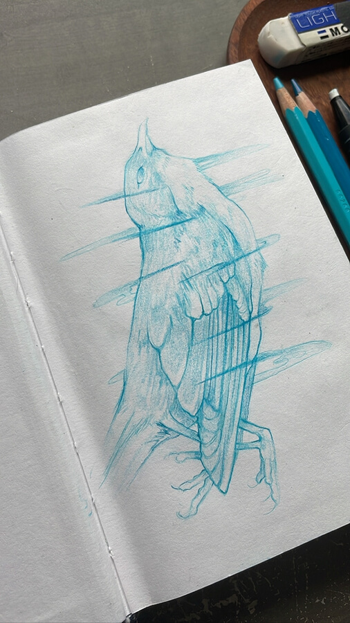 12-Bird-in-flight-Animal-Drawings-Renn-Tanner-www-designstack-co